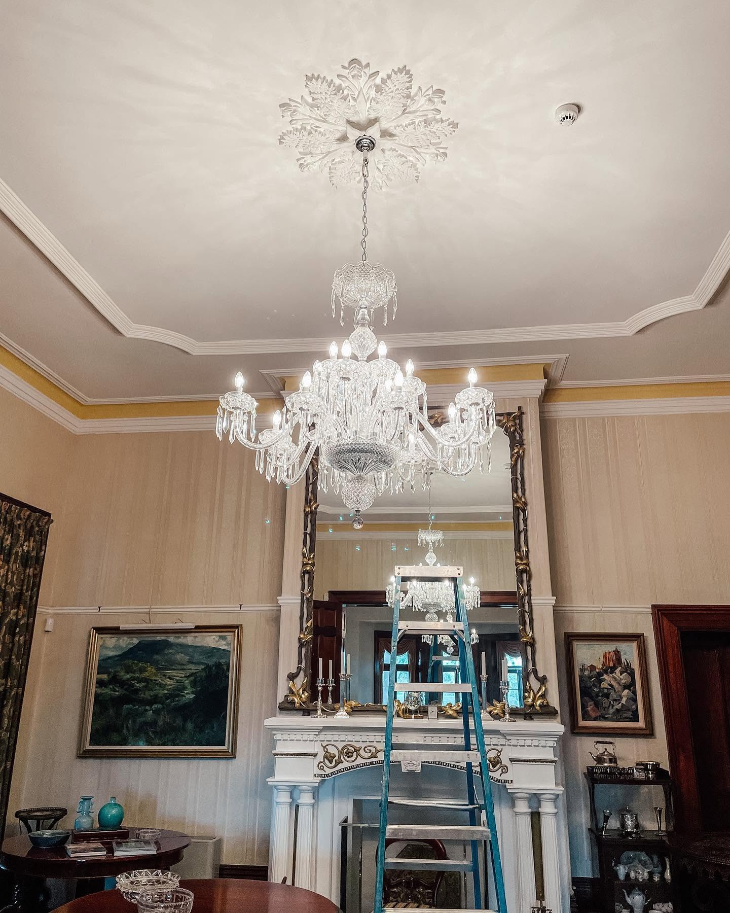 Crystal chandelier installed and lit above an ornate ceiling rose in a heritage-style room